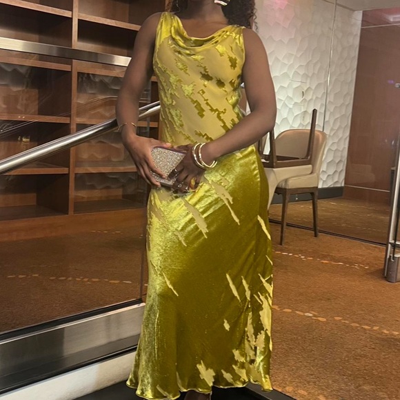 Zara velvet midi dress - Picture 14 of 16